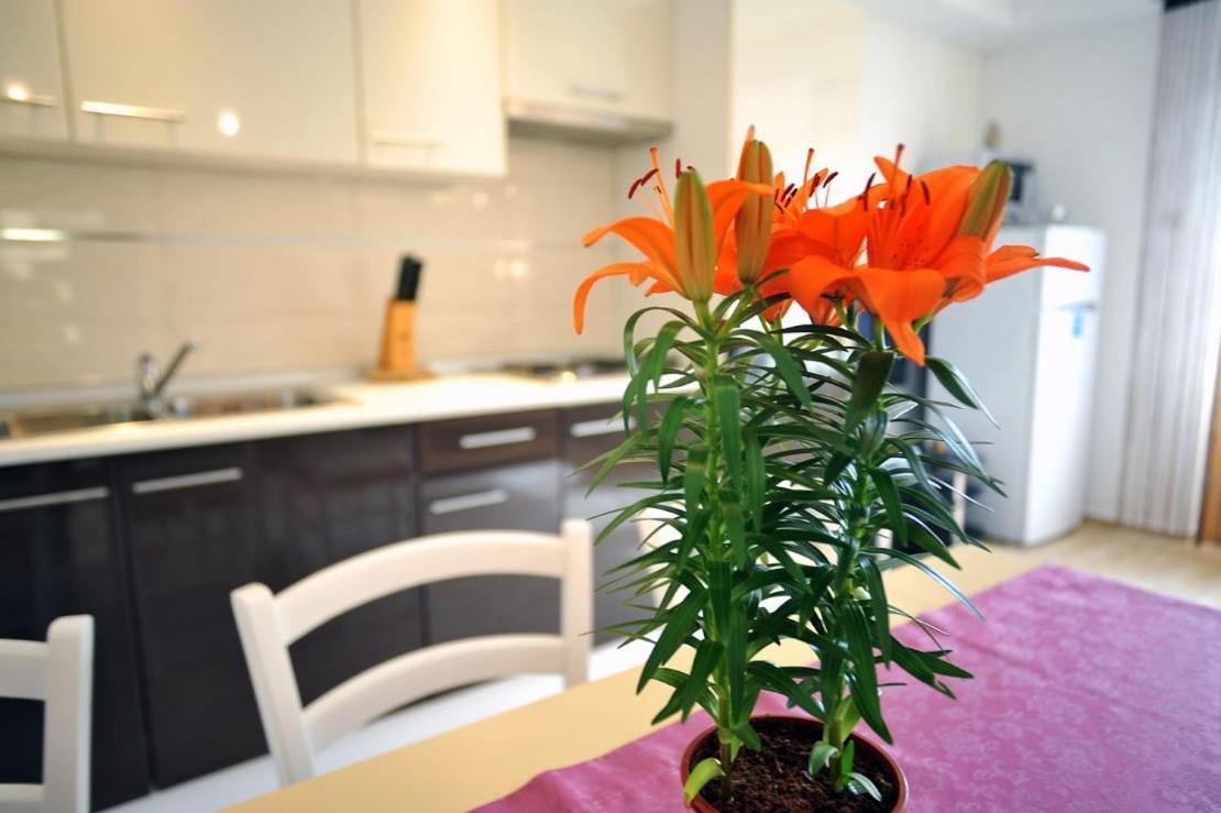 Apartmani Anita Medulin Exterior foto